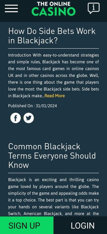 TheOnlineCasino gallery image 4