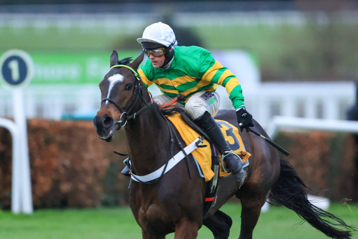 Tingle Creek Chase - betting tips