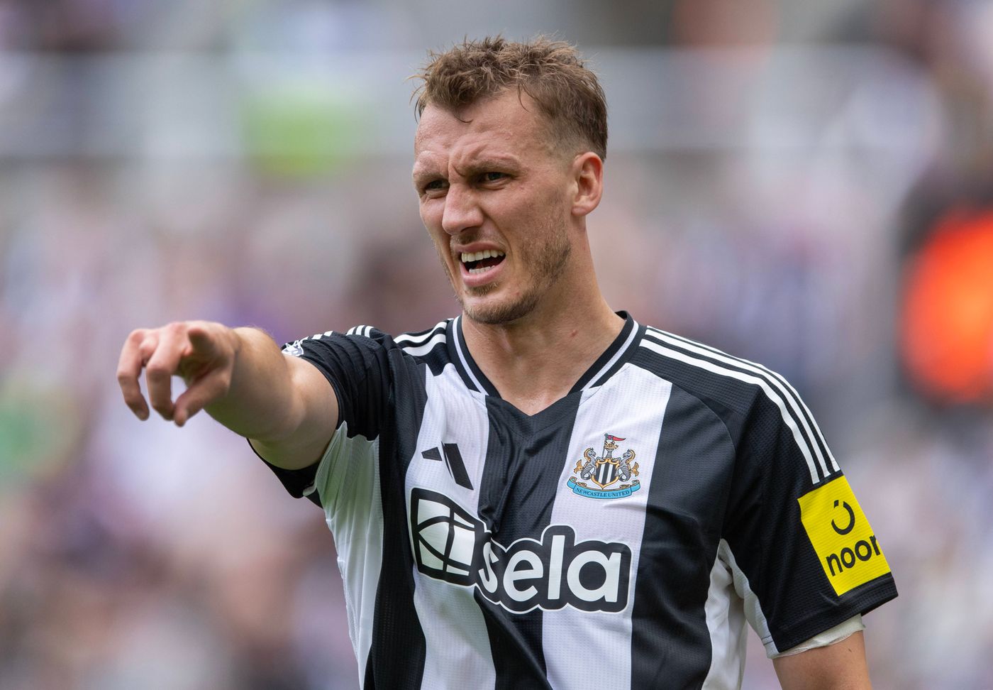 FIRST’s take: Premier League tips today - match day 37