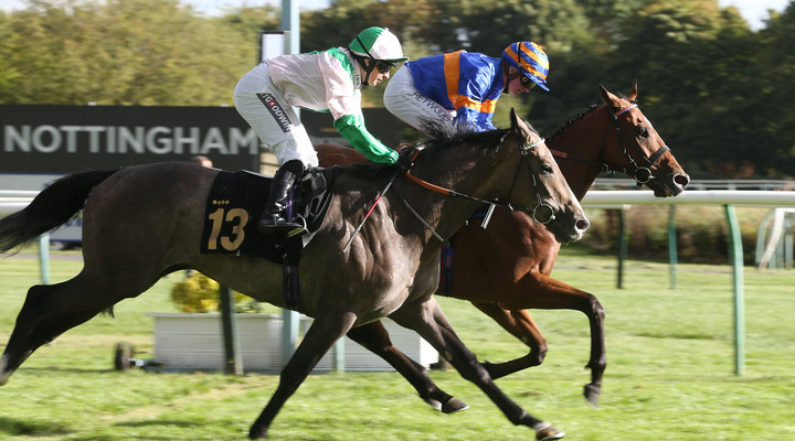Ted's Treble: Racing tips from Nottingham and Beverley 