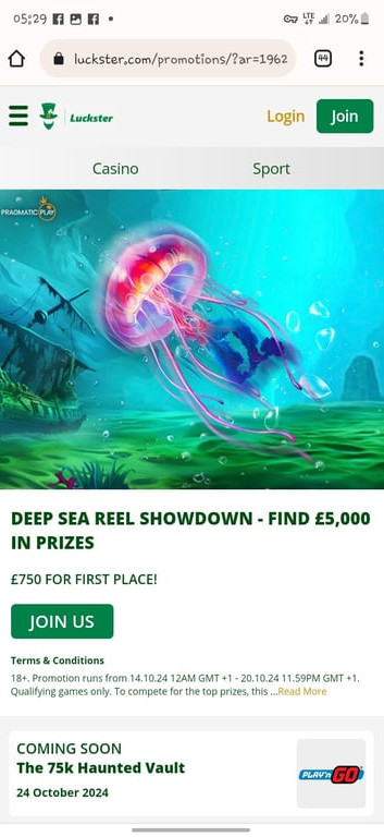 Luckster gallery image 10