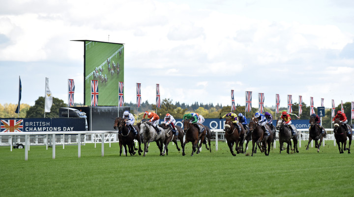 Ascot Champions Day tips: Full betting guide