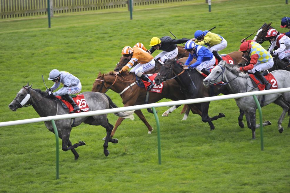 Ted’s Treble: Newmarket Saturday’s tips of the say 