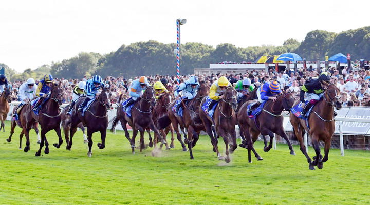 Ted's Wednesday Wagers: Longshot Ted's selects from the action at York and Newmarket