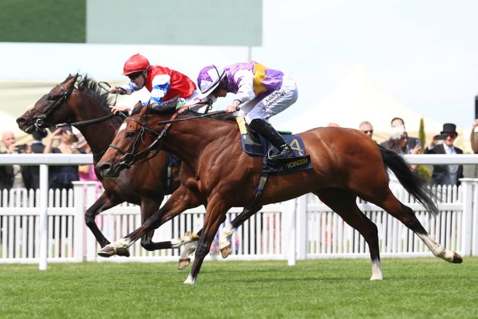 Ted's Treble: Royal Ascot opening day betting tips 