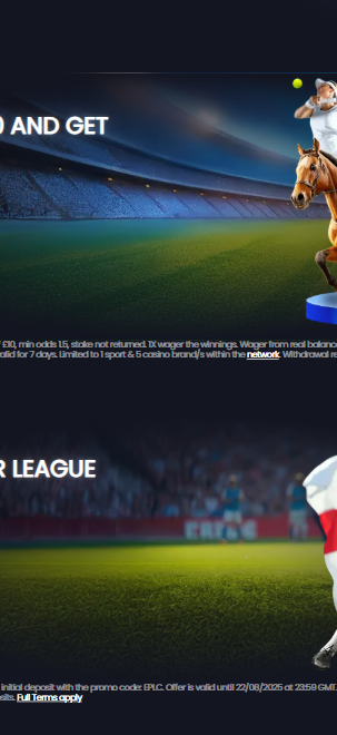 q88bets gallery image 3