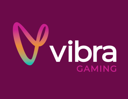 Vibra Gaming 