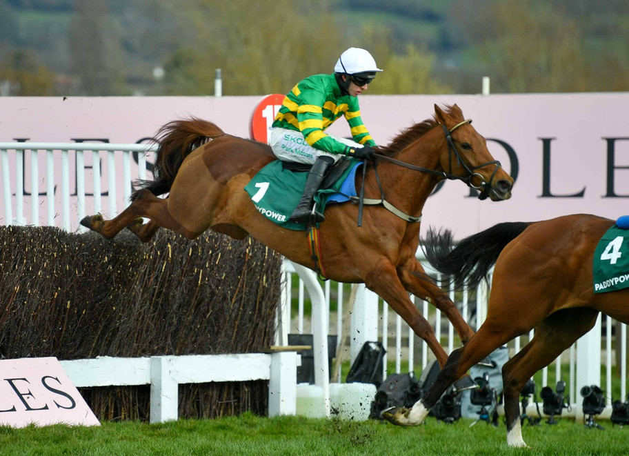 Bookies reflect on Cheltenham Festival: Challenges and triumphs