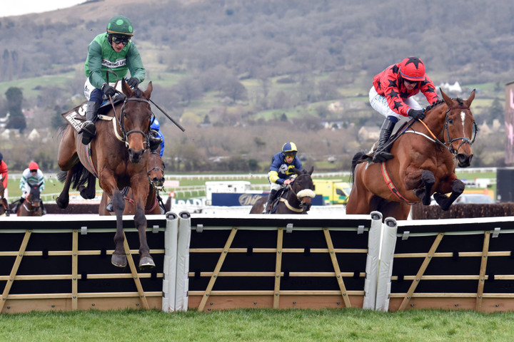 William Hill Showcase at Cheltenham: Betting guide