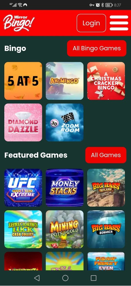 Mirror Bingo gallery image 1