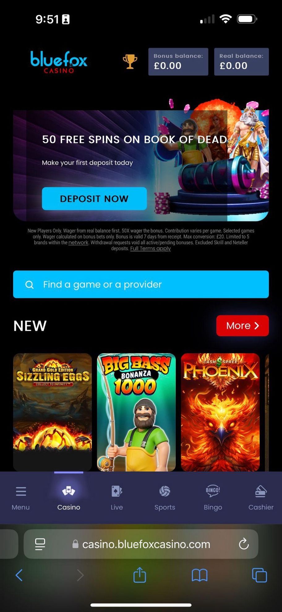 Bluefox Casino Casino Review 2025: Up to £1,000 bonus + 100 free spins