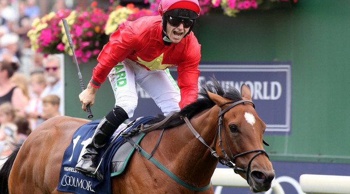 York Ebor Festival 2025: Discover our 14/1 TOP TIP and other best bets this week
