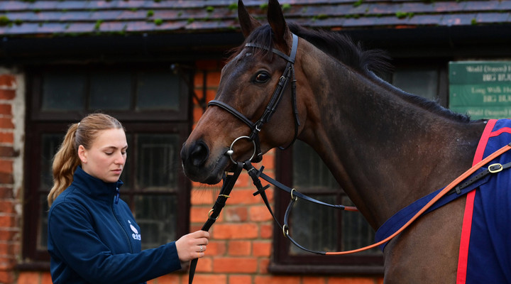 UK Racing Authorities to put spotlight on HorsePWR awareness campaign