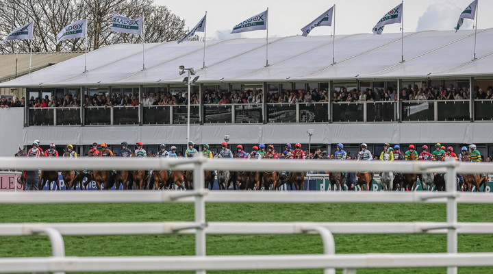 MPs to bet on Grand National 2025 winner for BGC charity bet campaign