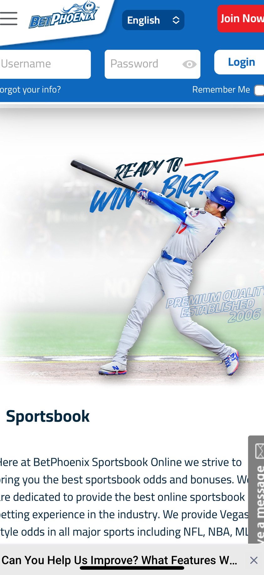 BetPhoenix gallery image 4