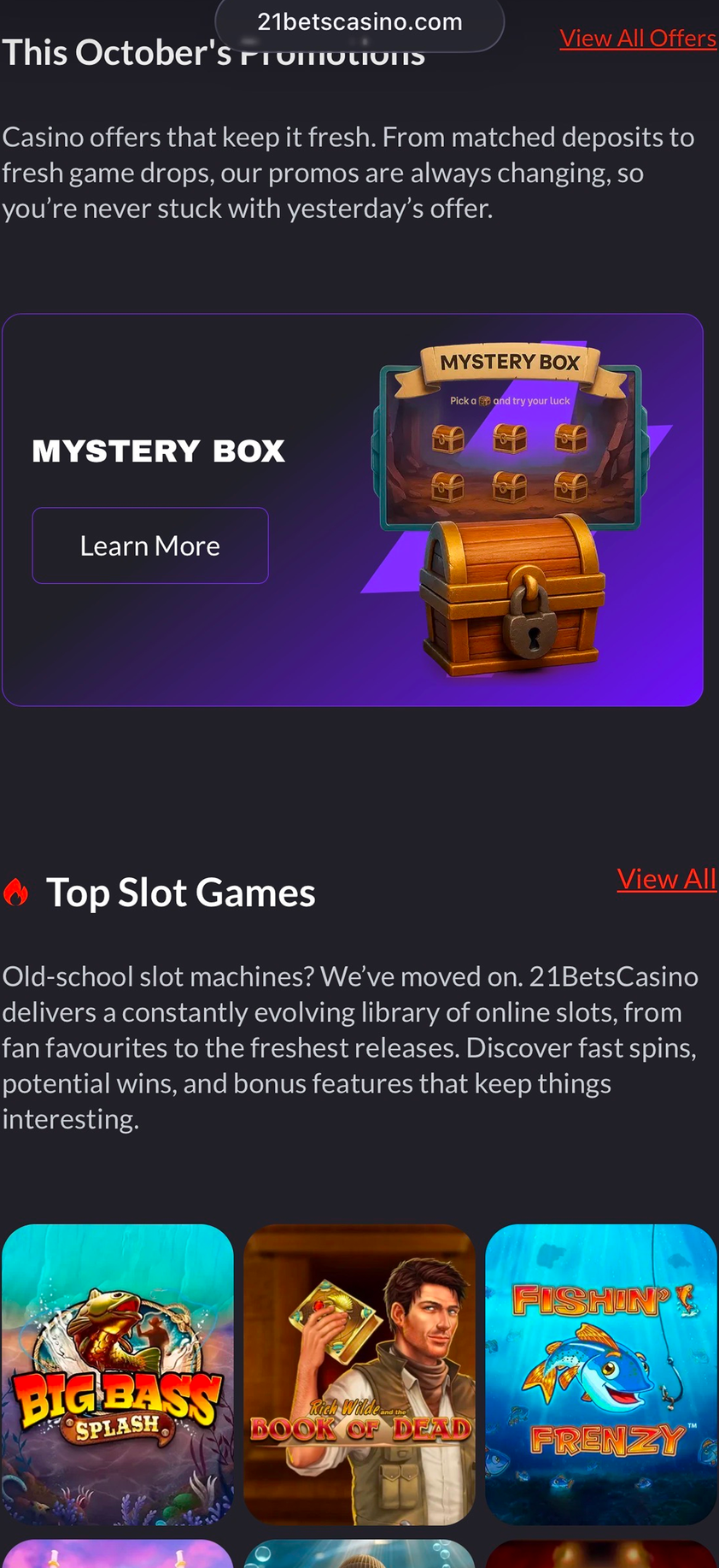 21Bets Casino gallery image 1