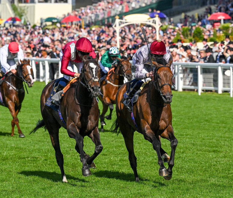Royal Ascot betting preview 2025 - predictions, tips and welcome bonuses
