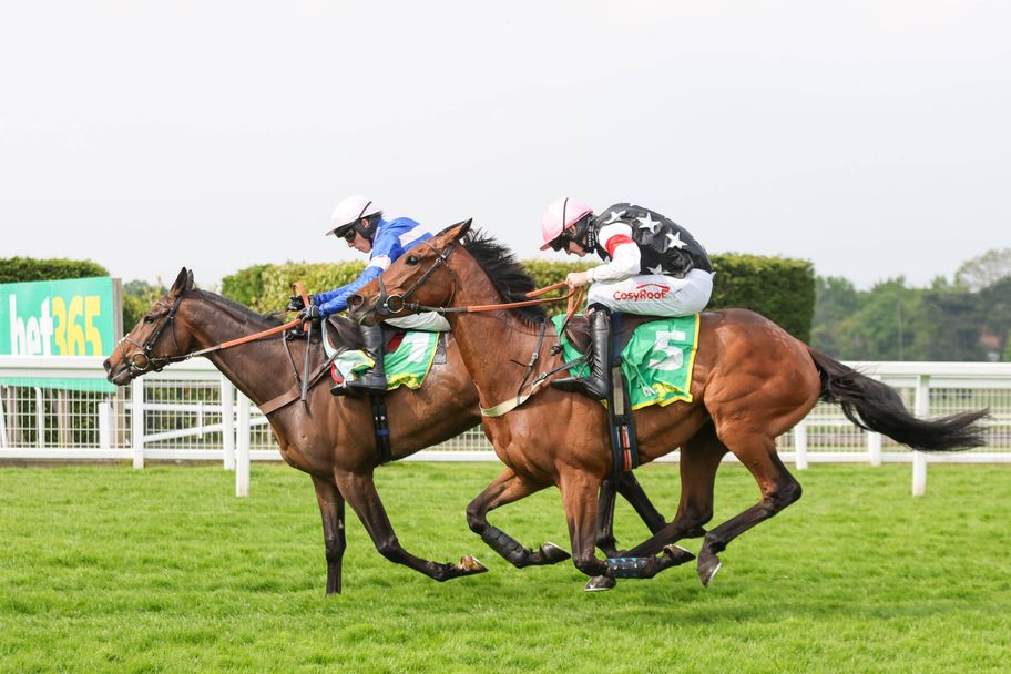 Ted's Treble - racing picks from Haydock, Yarmouth and Perth