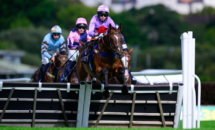 Cheltenham CEO expects lower attendance despite discounts