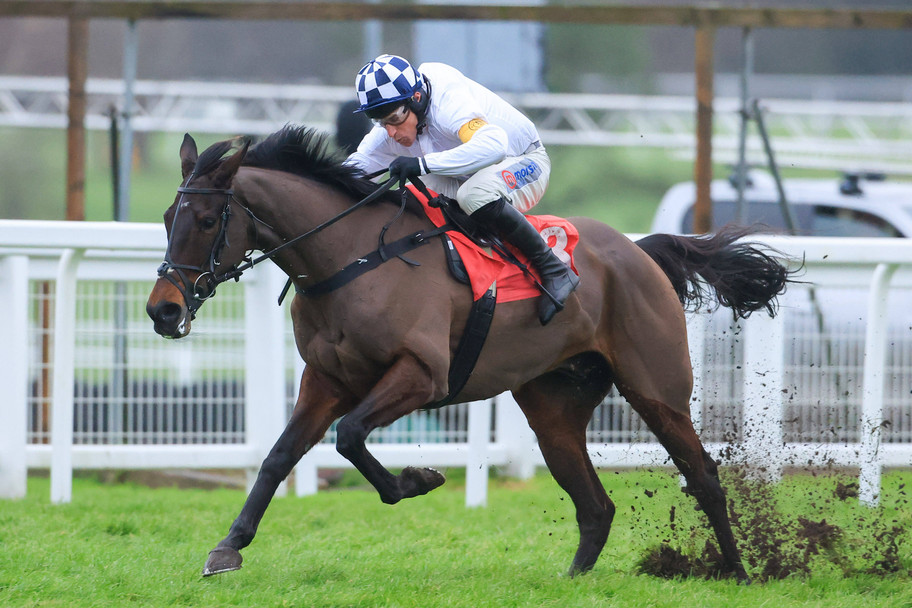 IMAGO: The&nbsp;Betfair Tingle Creek Chase is a highlight of the National Hunt season.