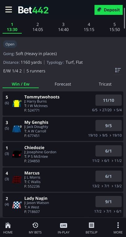 Bet442 bookmaker review: Everything you need to know