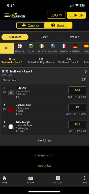 HeySpin gallery image 4