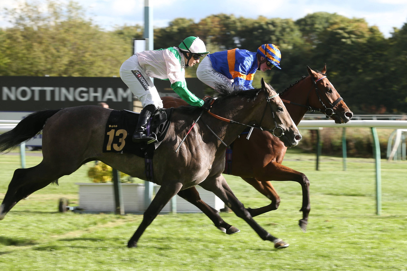 Ted's Treble: Racing tips from Nottingham and Beverley 