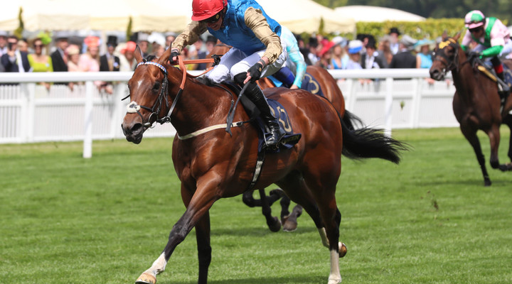 WATCH | Inside the yard: David Egan and Jane Chapple-Hyam discuss their Royal Ascot runners 