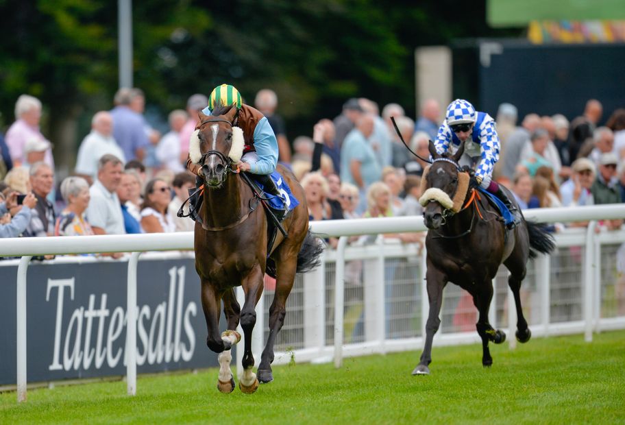 IMAGO: Salisbury features in this week's Weekend Wagers.&nbsp;