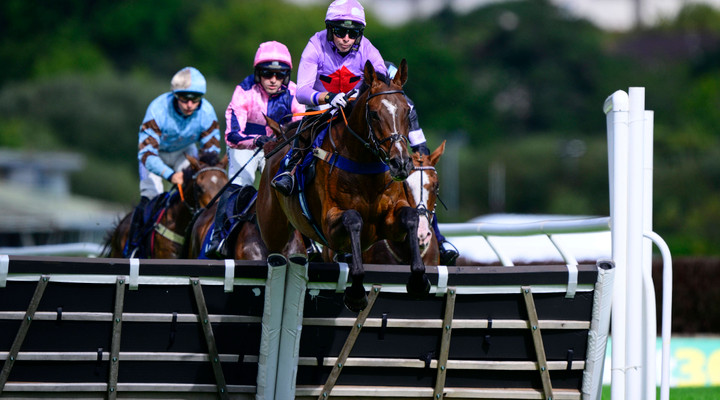 Horse racing bettor’s last-minute change of heart nets them nearly £100,000 off £20 in bets