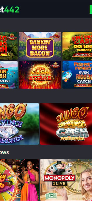 Bet442 gallery image 3