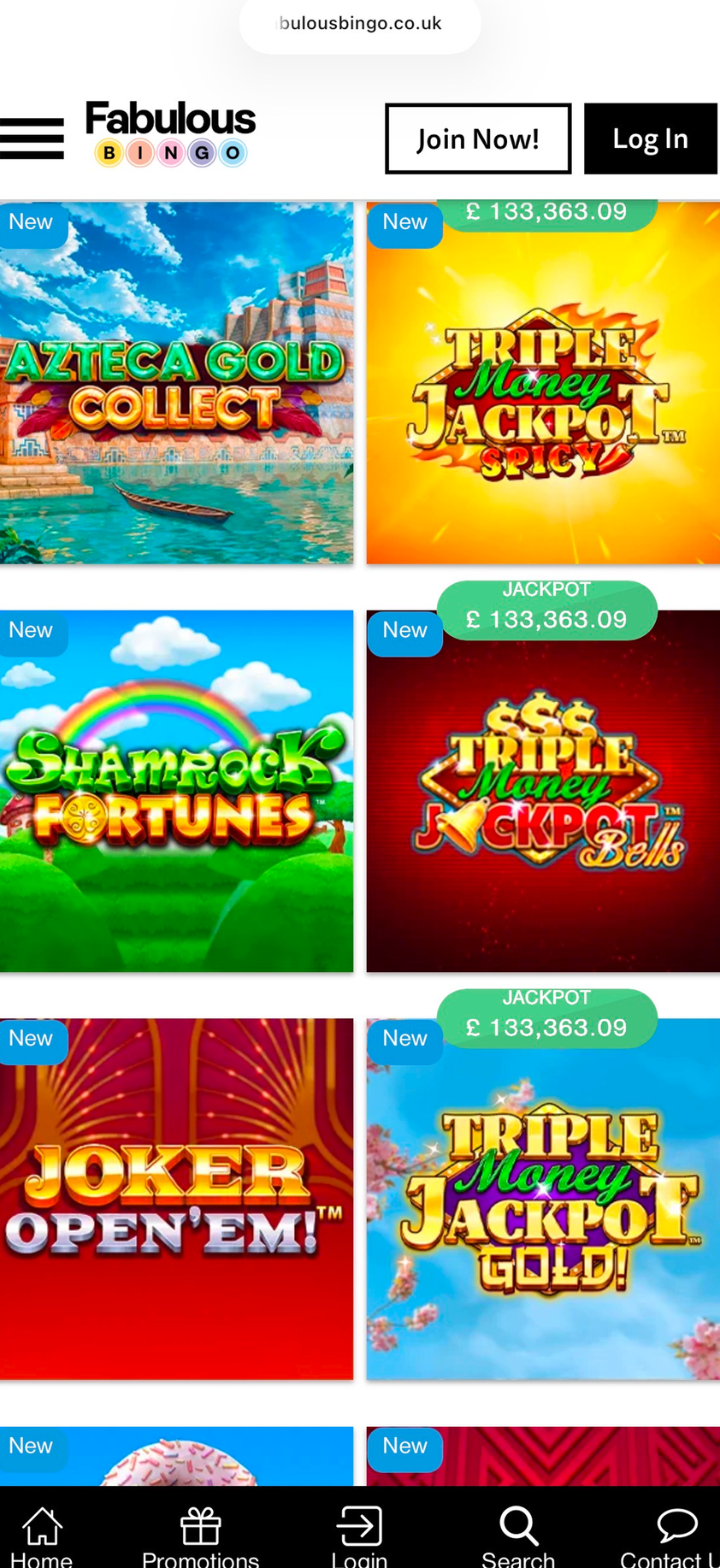 Fabulous Bingo gallery image 4