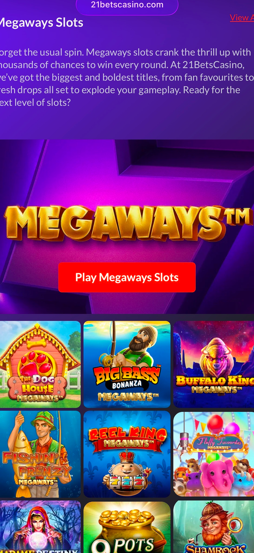 21Bets Casino gallery image 4