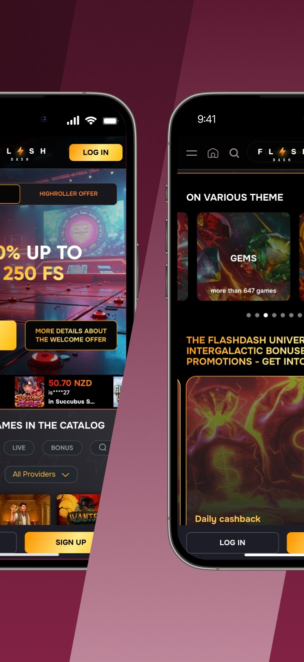 FlashDash gallery image 1