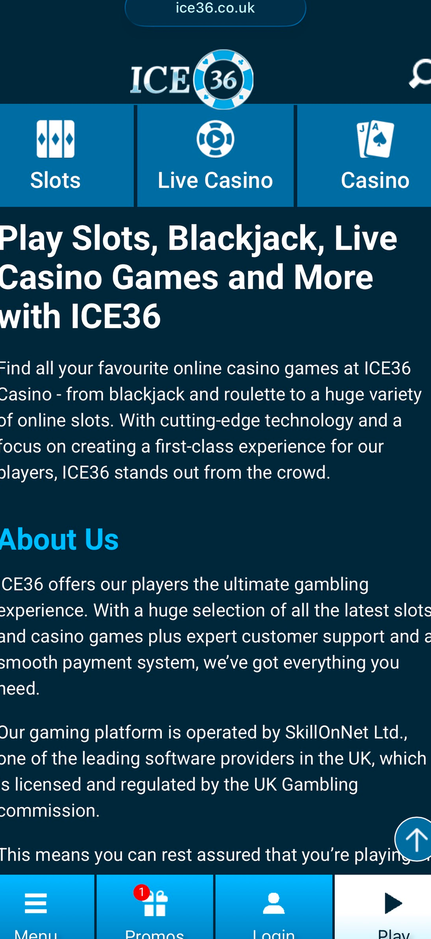 ICE36 gallery image 2