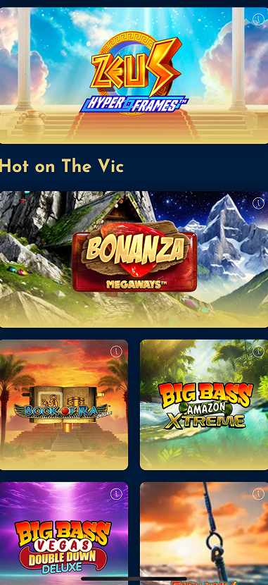 The VIC gallery image 5