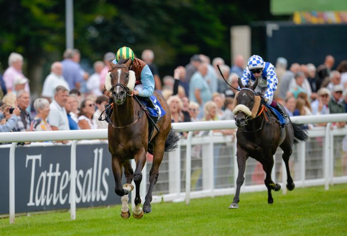 Ted's Wednesday Wagers: Selections from Salisbury, Chepstow and Newmarket feature