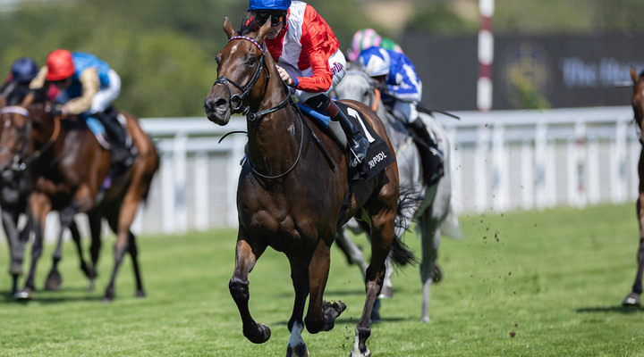 Goodwood Racecourse and 1/ST and partner to expand across both the UK and US