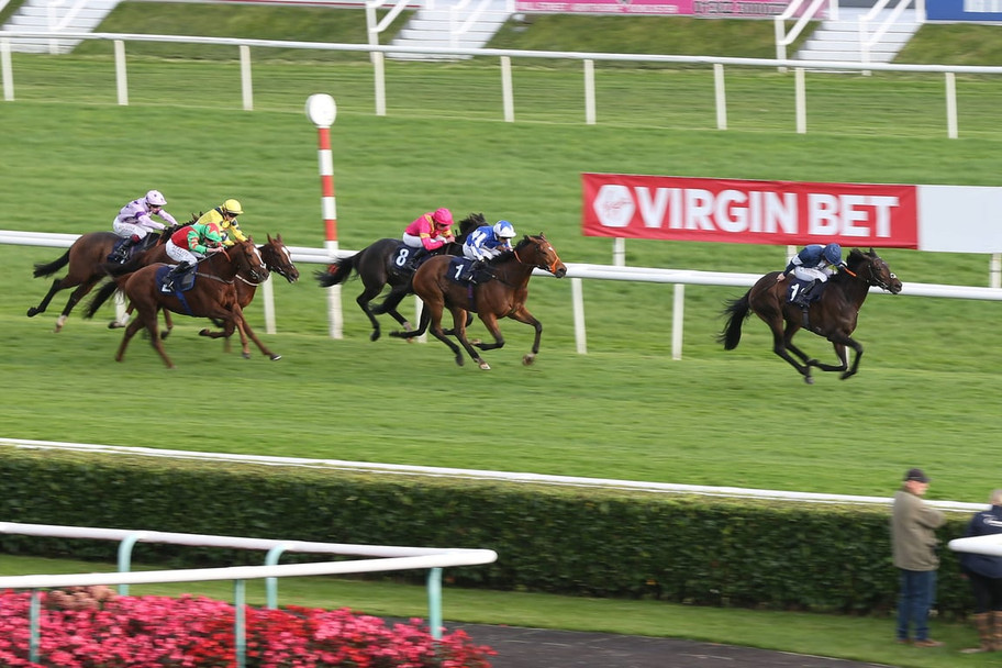  Coral survey unveils fan lies & preference for racing over football