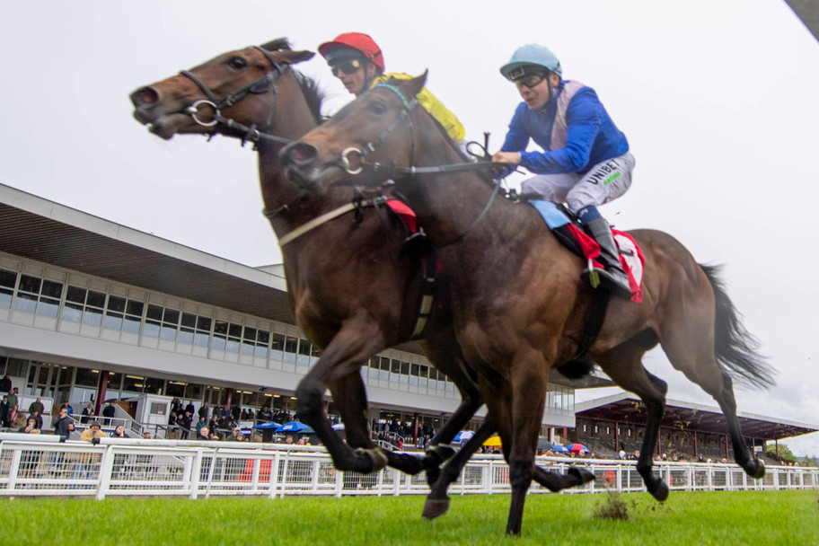 IMAGO:&nbsp;The John of Gaunt Stakes takes place at Haydock at 3.33pm Saturday May 31st&nbsp;