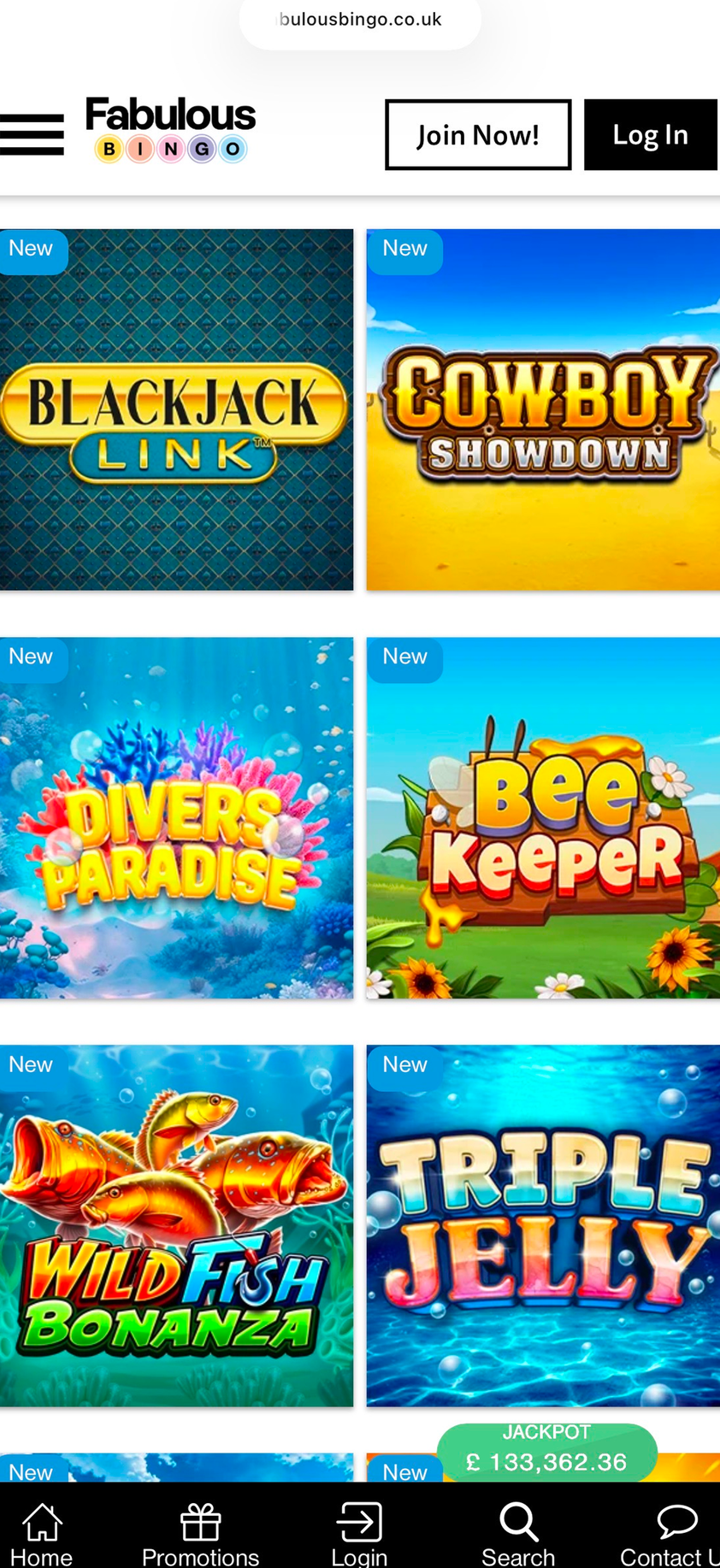 Fabulous Bingo gallery image 3