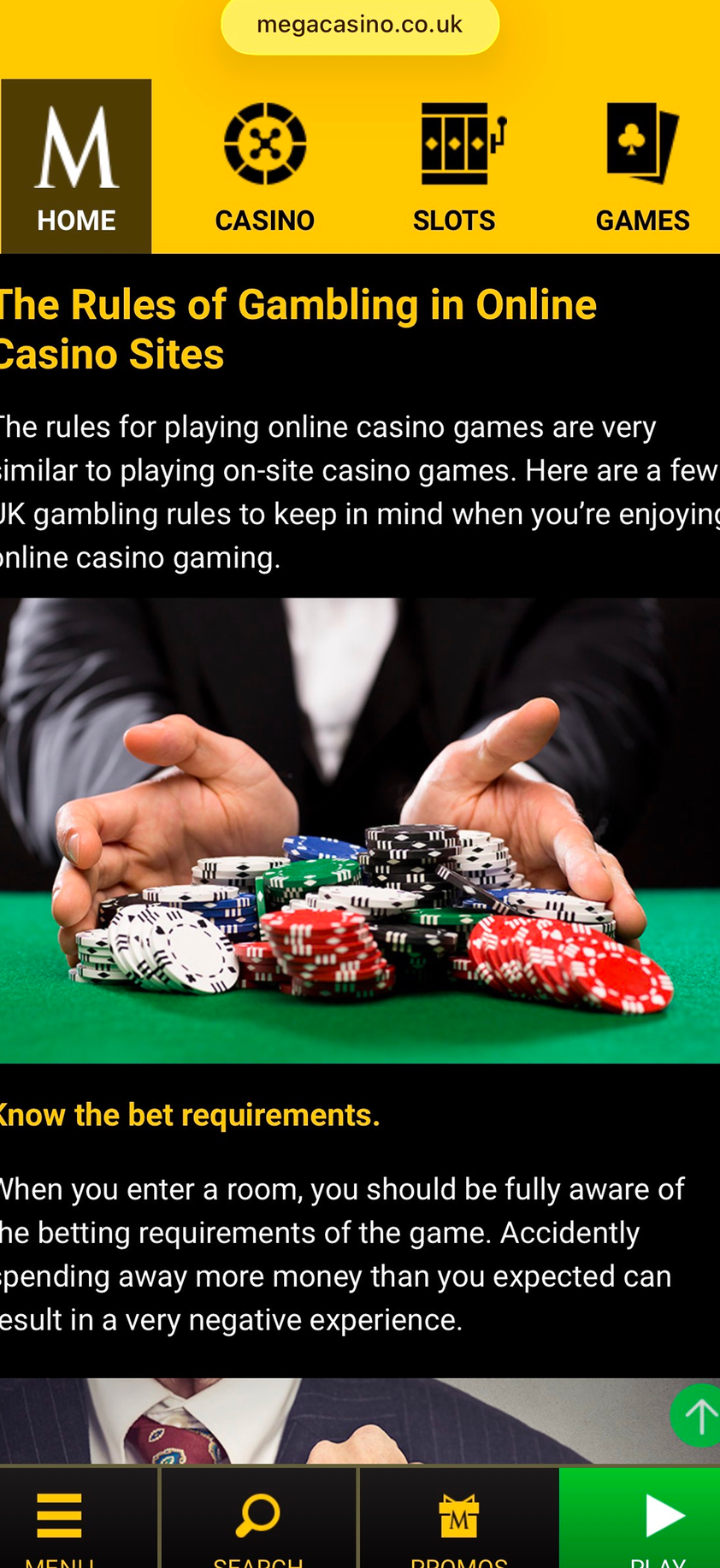 Mega Casino gallery image 3