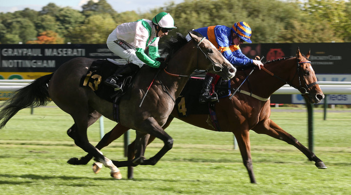 Ted’s Treble: Serving up a Saturday selection from Newmarket & more