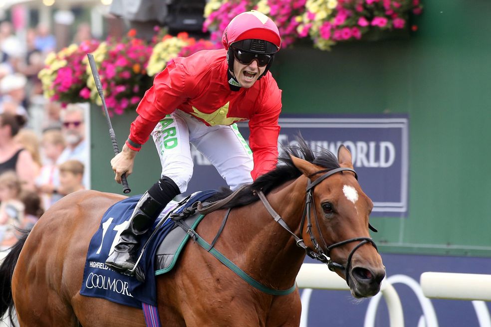 York Ebor Festival free tips - eight horses to back this week