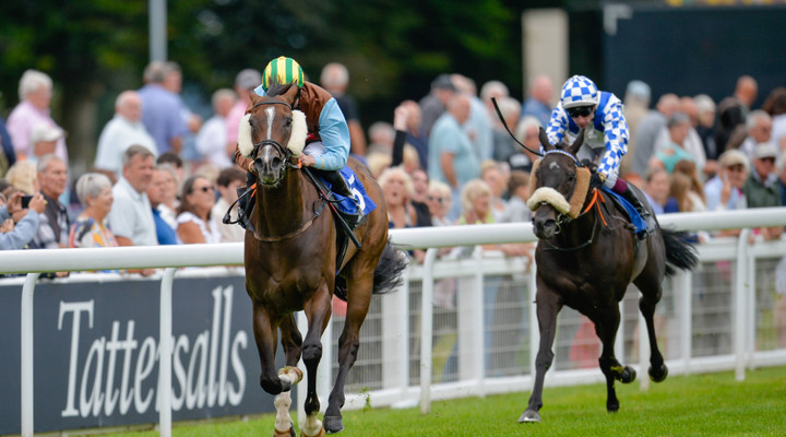Ted's Wednesday Wagers: Nine selects for the week's racing action