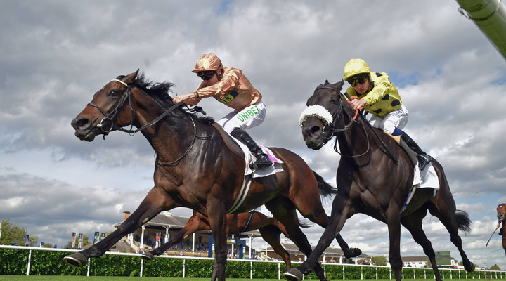 St Leger Festival 2025: The ultimate betting guide and analysis