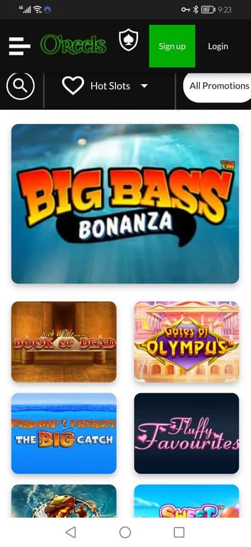 O’Reels gallery image 6