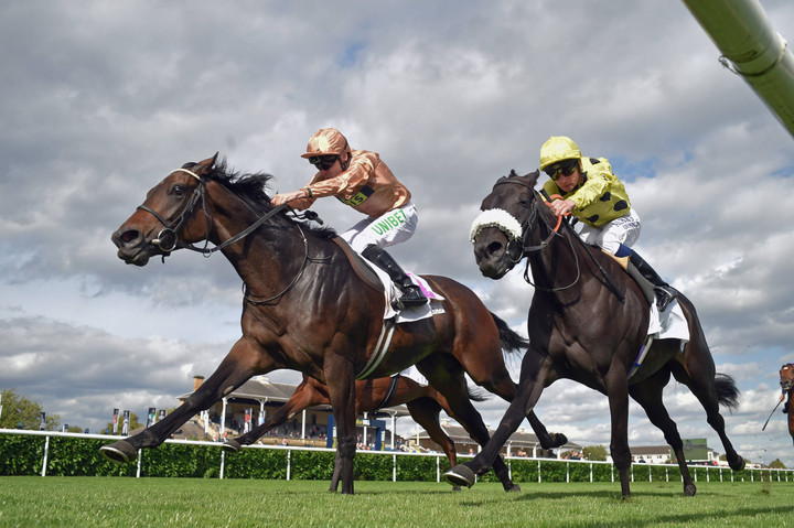 St Leger Festival 2025 betting tips, predictions and analysis