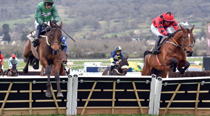 William Hill Showcase: Full betting guide from Cheltenham